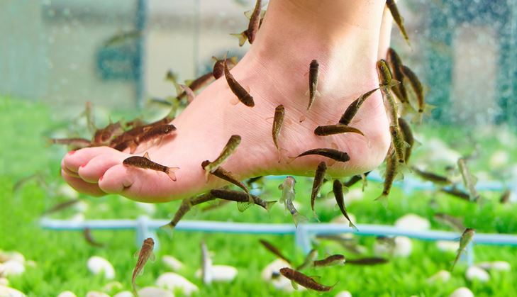 Have you tried a fish pedicure?