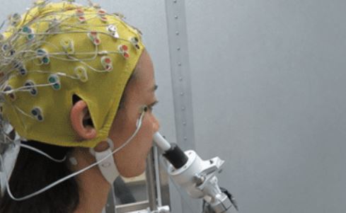 Seeing how odor is processed in the brain